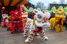 Chinees nieuwjaar 2016